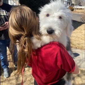 Meet your Posher, Emerson